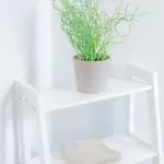 Σπίτι διακοπών Cs House Καρλάιλ