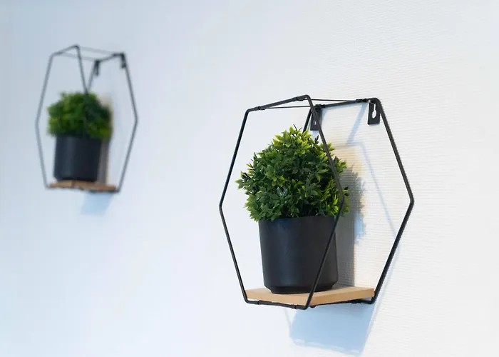 Дом отдыха Cs House