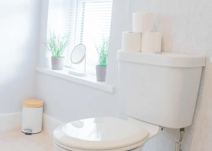 Cs House Карлайл