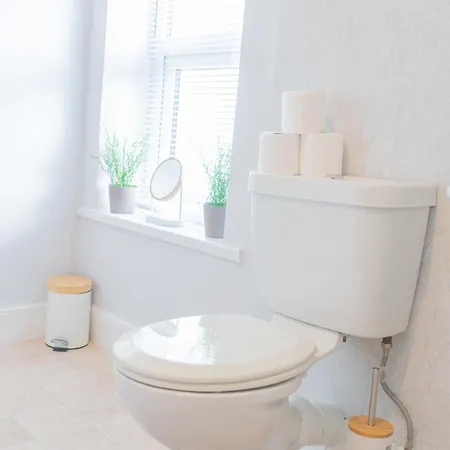 Cs House Carlisle (Cumbria)